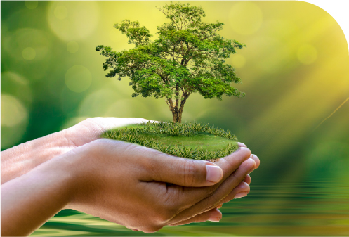 ISO14001
